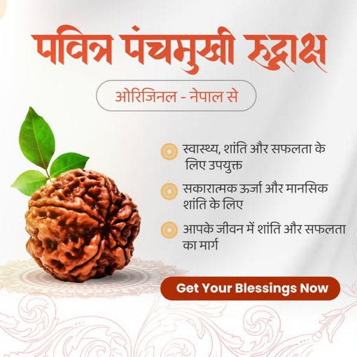 5 Mukhi Rudraksha Pendant (पांच मुखी रुद्राक्ष पेंडेंट) NEPALI