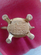 Ashtadhatu KACHUA Heavy Quality