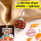 7 Mukhi Rudraksh (Origin - Nepal)