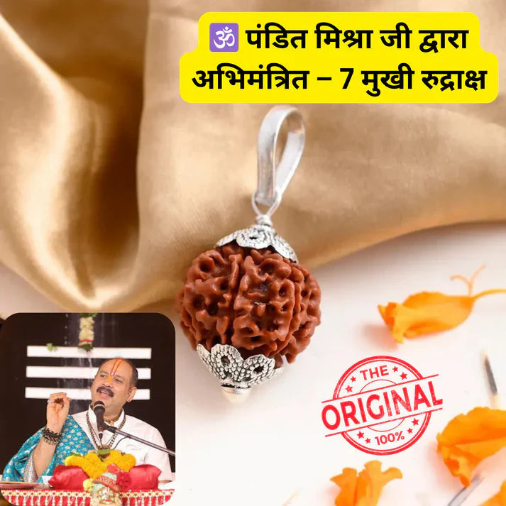 7 Mukhi Rudraksh (Origin - Nepal)